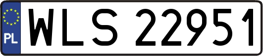 WLS22951
