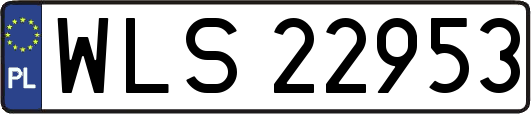 WLS22953