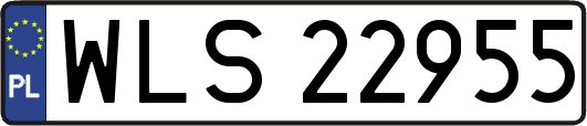 WLS22955