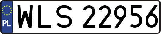WLS22956