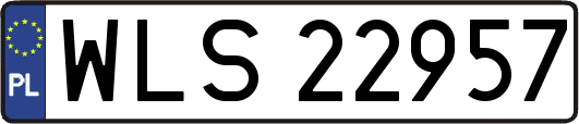 WLS22957