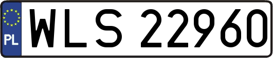 WLS22960