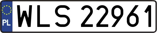 WLS22961