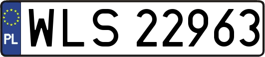 WLS22963