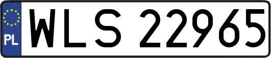 WLS22965