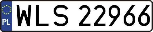 WLS22966