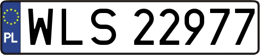 WLS22977