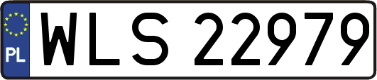 WLS22979