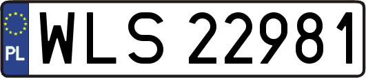 WLS22981