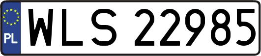 WLS22985