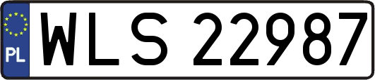 WLS22987