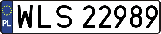 WLS22989