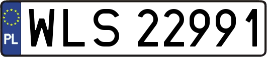 WLS22991