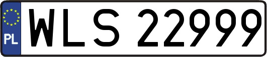 WLS22999