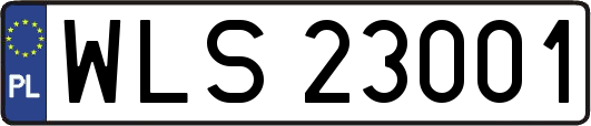 WLS23001