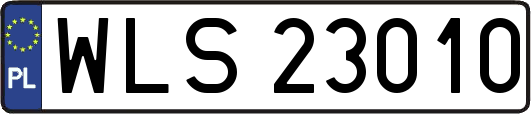 WLS23010