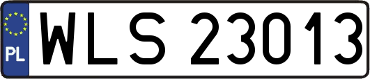 WLS23013
