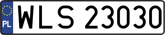 WLS23030