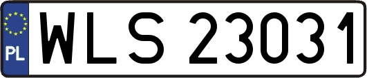WLS23031