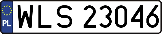 WLS23046