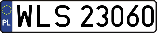WLS23060