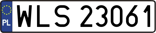 WLS23061