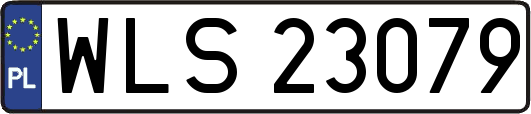 WLS23079