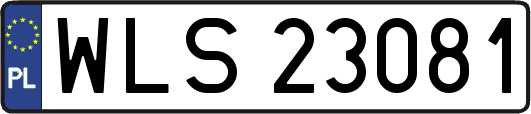 WLS23081