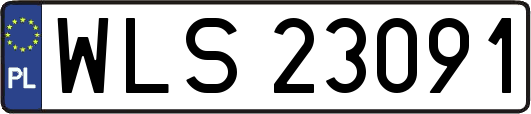 WLS23091