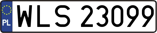 WLS23099