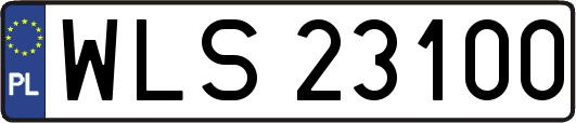 WLS23100