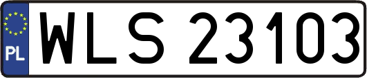 WLS23103
