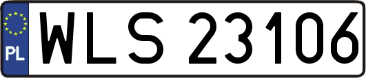 WLS23106