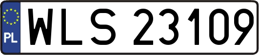 WLS23109