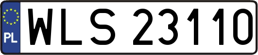 WLS23110