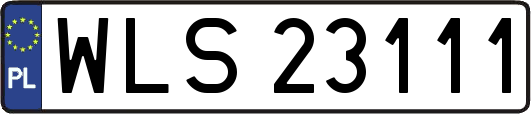 WLS23111