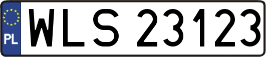 WLS23123