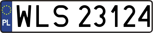 WLS23124