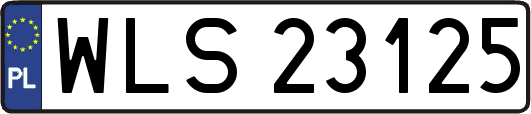 WLS23125
