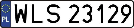 WLS23129