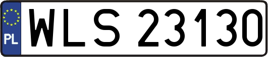 WLS23130