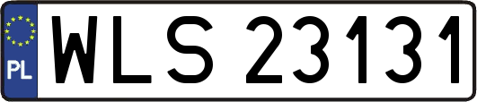 WLS23131