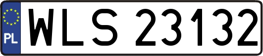 WLS23132