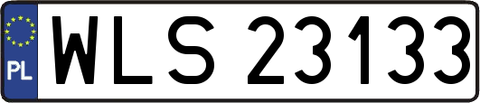 WLS23133