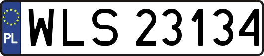 WLS23134