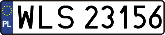 WLS23156