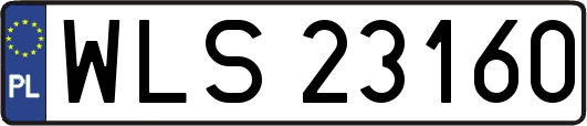 WLS23160