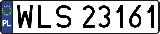 WLS23161