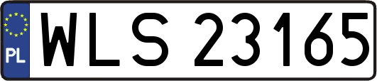 WLS23165