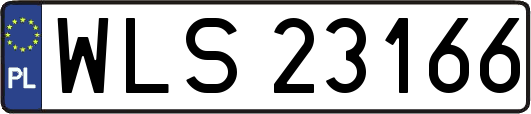 WLS23166